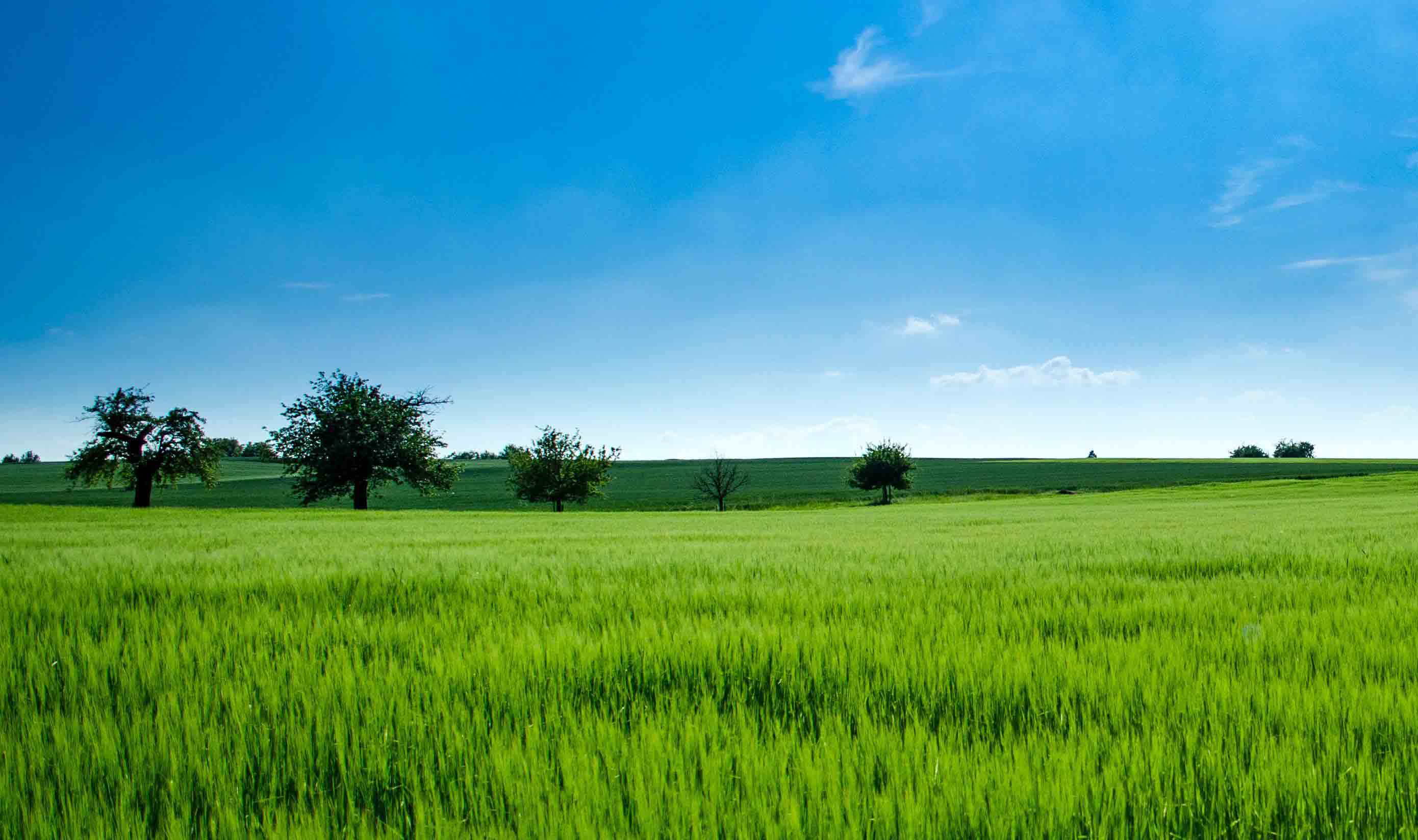 Agrometeorological Services